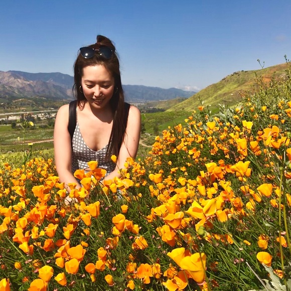 Meet the Posher 🐢 - Picture 1 of 3